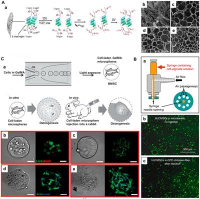 Polymeric microcarriers for minimally-invasive cell delivery